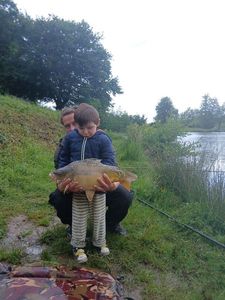 Mirror Carp