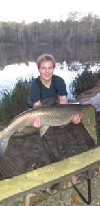 Grass Carp