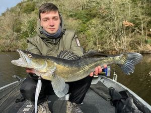 Zander
