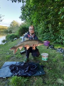 Grass Carp