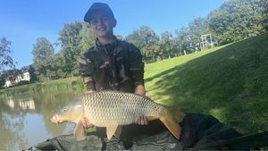 Common Carp