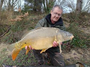 Mirror Carp