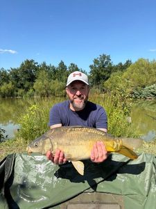 Mirror Carp