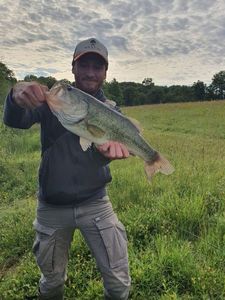 Largemouth Bass