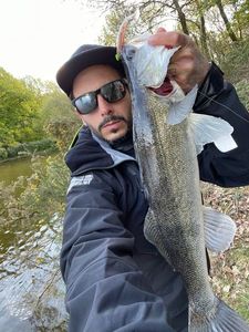 Zander