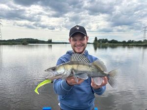 Zander