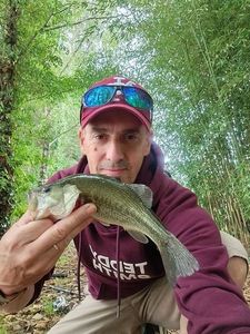 Smallmouth Bass