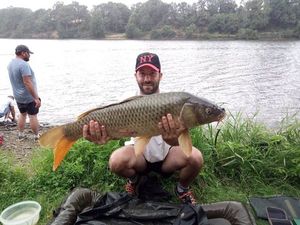 Common Carp