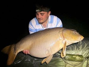 Leather Carp