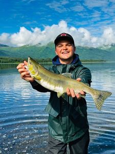 Pink Salmon