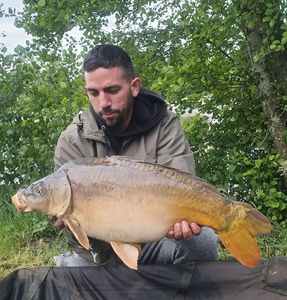 Leather Carp