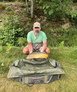 Mirror Carp