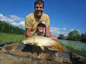 Common Carp