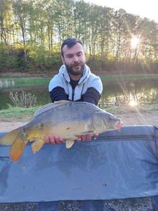 Mirror Carp