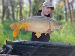 Mirror Carp