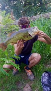 Rock Bass