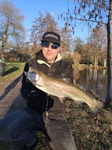 Rainbow Trout