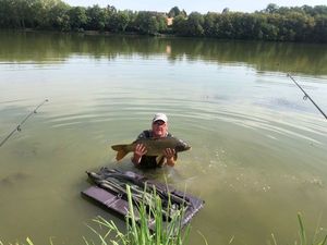 Common Carp