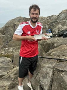Spotted Seabass