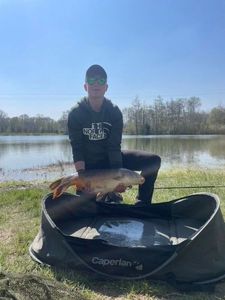 Mirror Carp