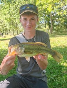 Largemouth Bass