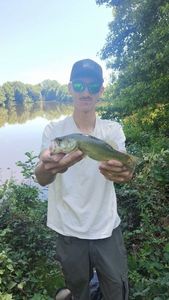 Achigan à Petite Bouche (Black-Bass)