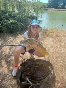 Mirror Carp