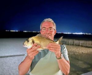 Black Seabream