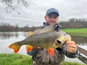 European Perch