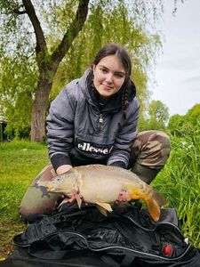 Mirror Carp