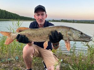 Northern Pike