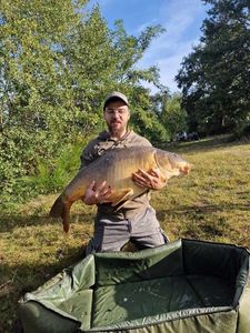 Mirror Carp