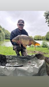 Leather Carp