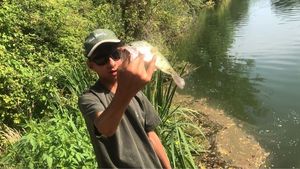 Largemouth Bass