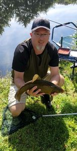 Tench