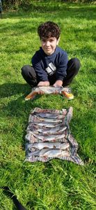 Rainbow Trout