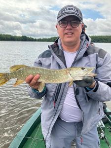 Northern Pike
