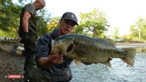 Largemouth Bass
