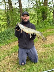 Northern Pike