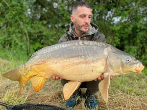 Mirror Carp