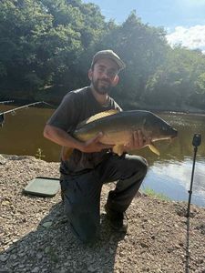 Mirror Carp