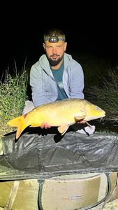 Mirror Carp