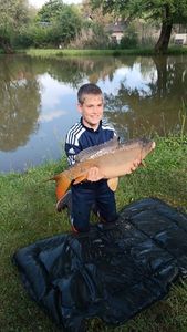 Mirror Carp