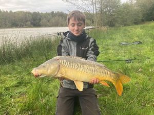 Mirror Carp