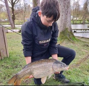 Common Carp