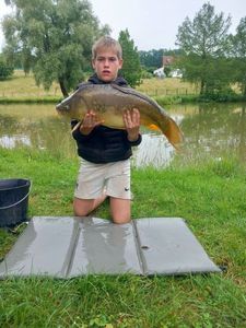 Mirror Carp