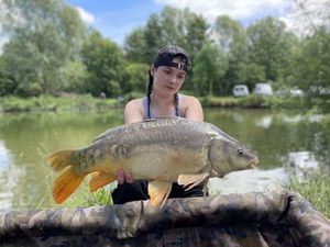 Mirror Carp
