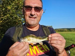 European Perch