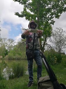 Largemouth Bass