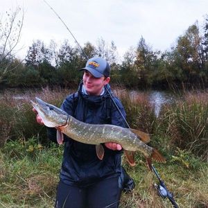 Northern Pike
